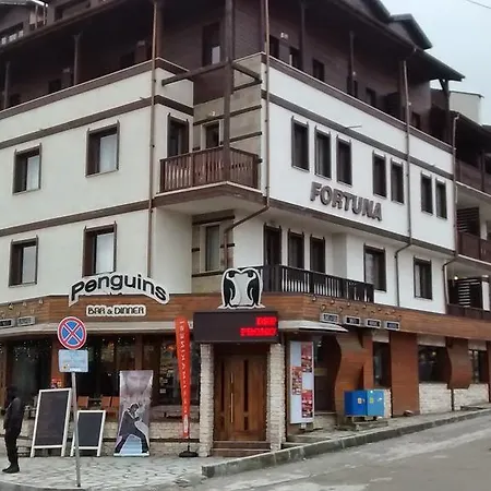 Two-bedroom In Fortuna